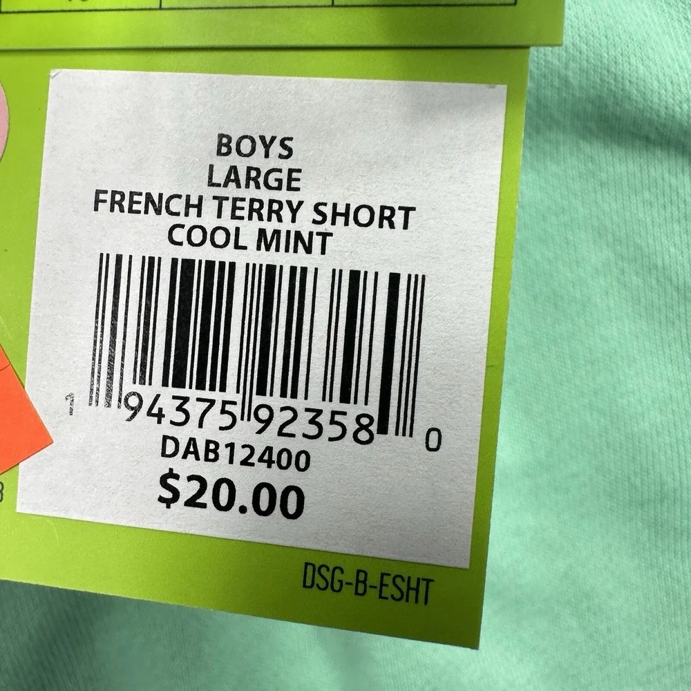 DSG French Terry Youth‎ Shorts Size Large Cool Mint Everyday Casual